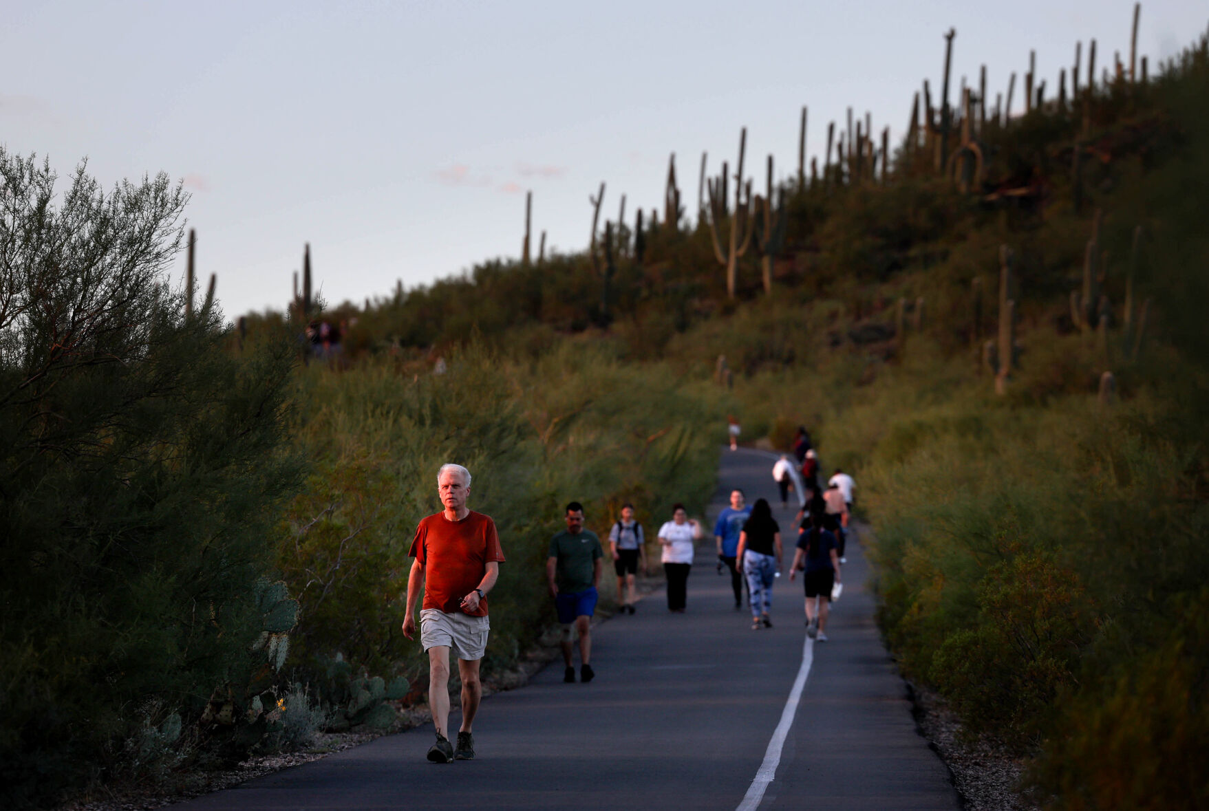 Tumamoc Hill